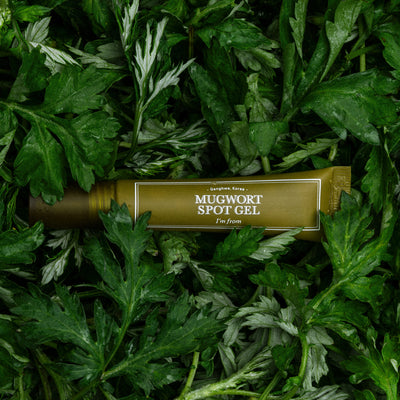 I'm From Mugwort Spot Gel