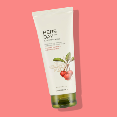THEFACESHOP HERB DAY 365 FOAMING CLEANSER Acerola & Blueberry